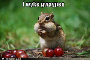 funny-captions-i-wyke-gwaypes-300x201